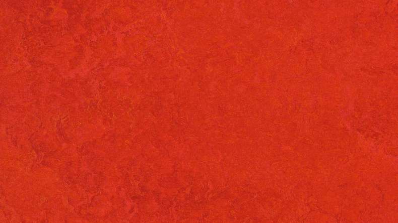 planeo click linoleum flooring Linoklick - Scarlet - 333131