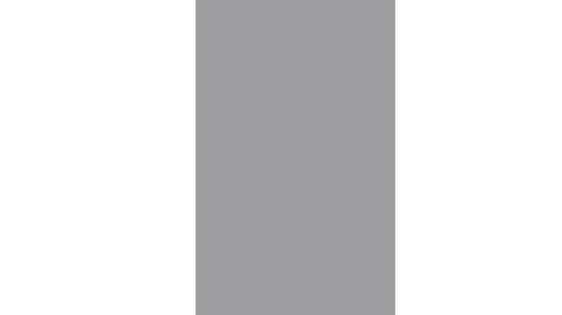 planeo Ambiente - glass privacy screen upright satin 120 x 180 cm