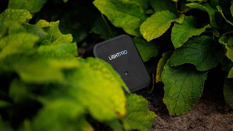 planeo garden lighting Switch Smart WiFi