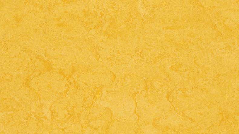 planeo click linoleum flooring Linoklick - Lemon zest - 333251
