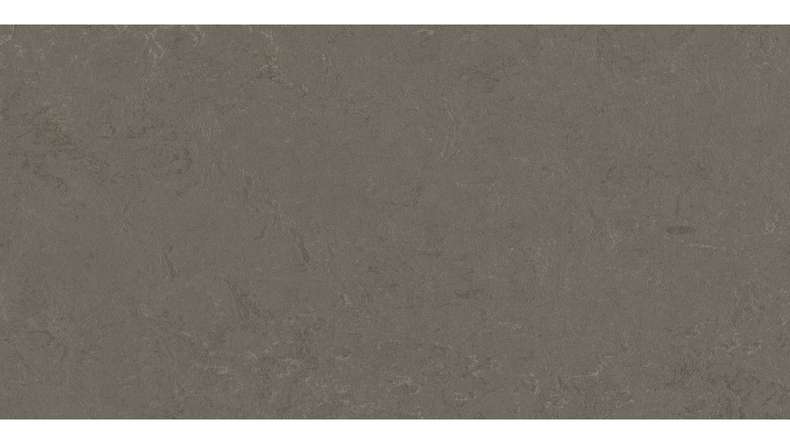planeo click linoleum flooring Linoklick - Nebula 60x30cm - 633723