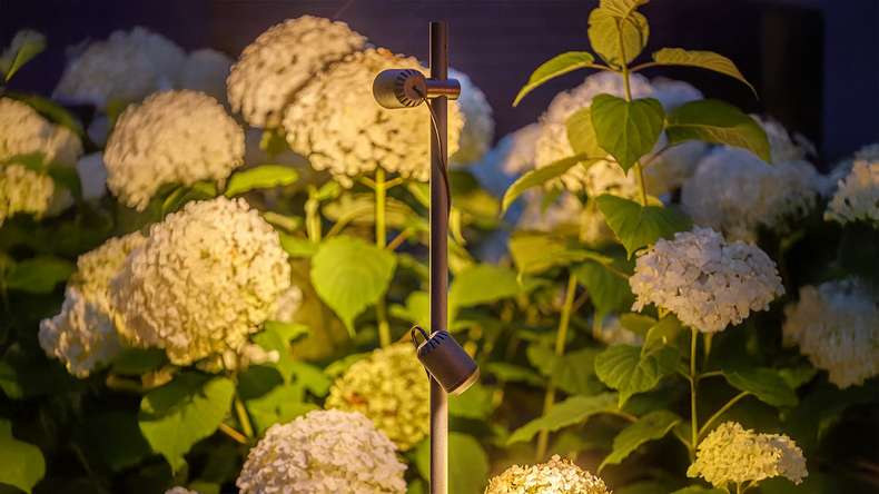 planeo garden lighting 12V - Juno Tube LED spotlight/wall light - 4W 372 lumen