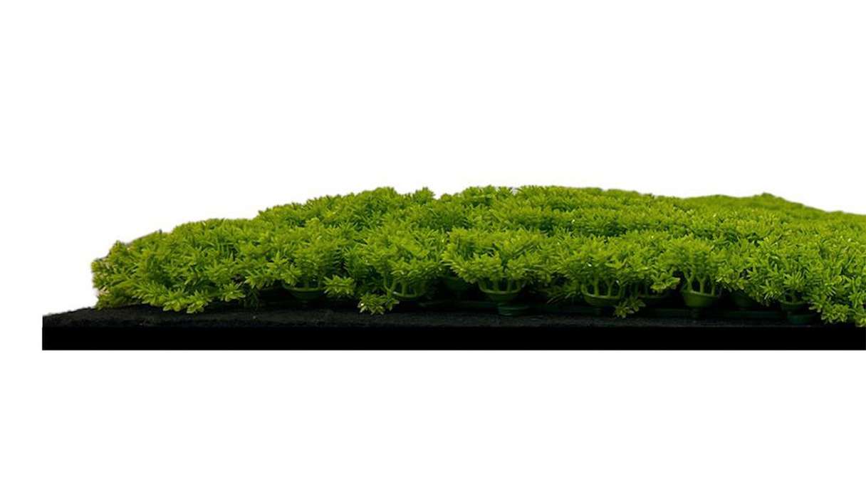 planeo acoustic panel - MixWall Moss Mood Lime Green 52 x 52 cm | artificial moss (PLMW-30211C)