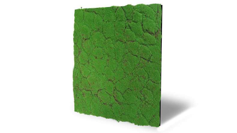 planeo acoustic panel - MixWall Moss Mood Forest Green 52 x 52 cm | artificial moss (PLMW-30121A)