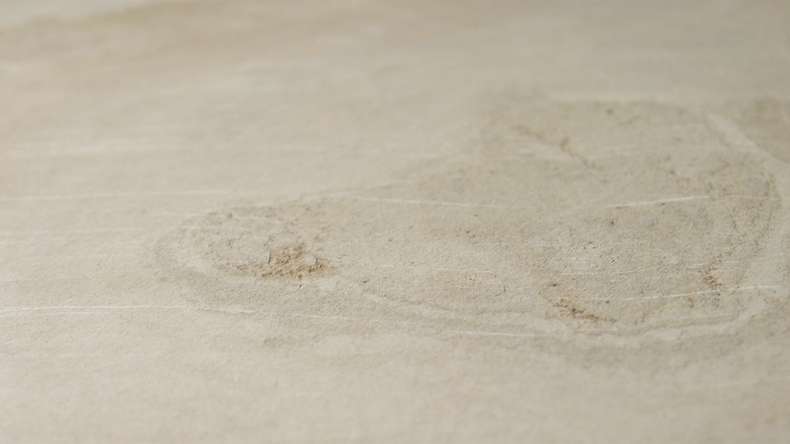 planeo EVOLITH Slate&Stone - Natural stone wall cladding Siena Dust 1220 x 610 mm