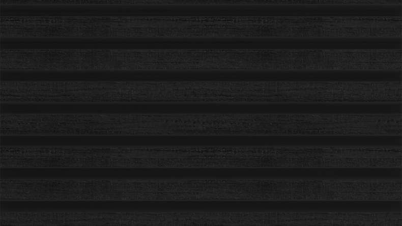 planeo LINEA Slim – WPC CoEx cladding, black, 2900 x 215 mm