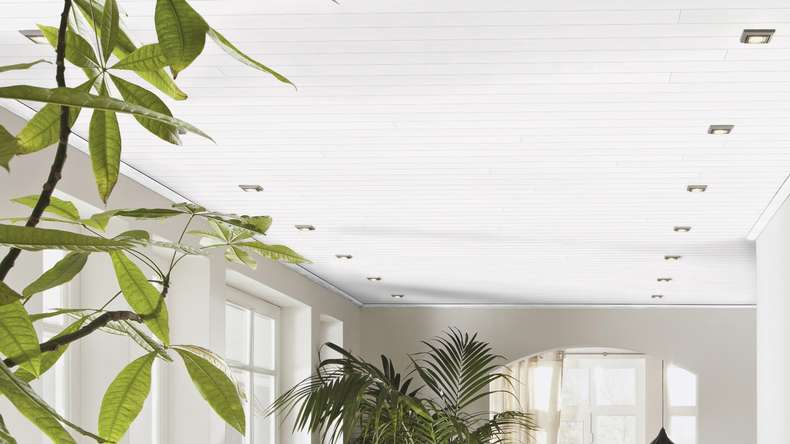 Meister Panels - Bocado 250 2,05m Fineline white (300007-2050250-04029)