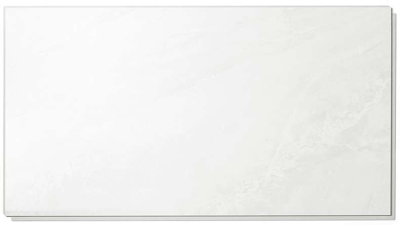 planeo StrongWall - plastic wall panelling Evo 65 x 37.5 cm high gloss