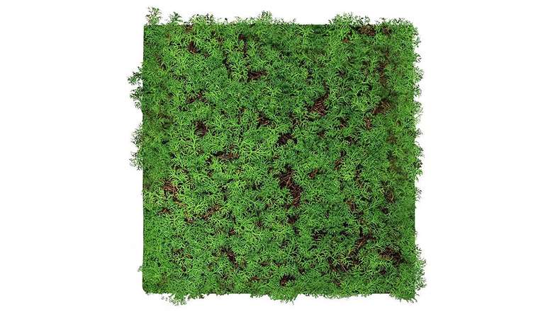 planeo acoustic panel - MixWall Living Leaf Thuja Tea Tree 52 x 52 cm | natural plant (PLMW-50111)