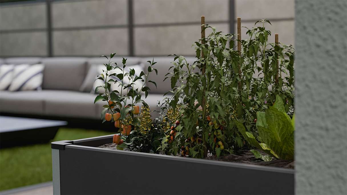 planeo BPC raised bed Cube - anthracite | DB703 70 x 70 x 75 cm