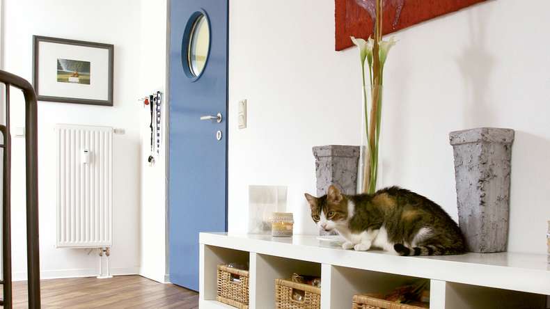 Project Floors adhesive Vinyl - floors@work55 PW 2003/55 (PW200355)
