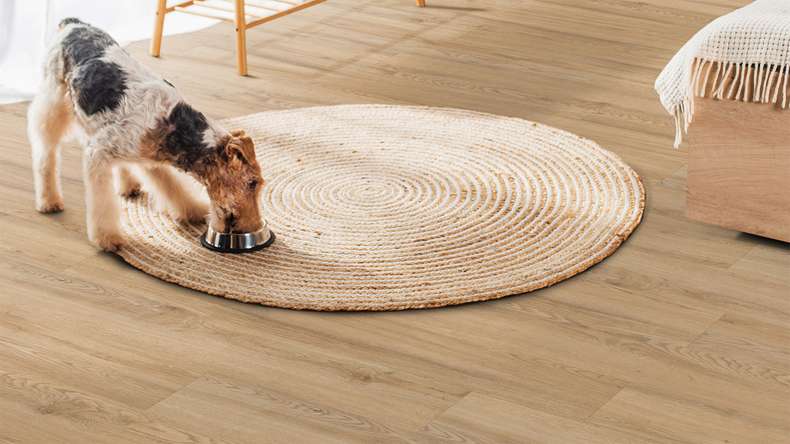 planeo Rigid click vinyl - FlexCore 30 Oyster Oak | Impact sound insulation integrated (plfc-5220FS30)