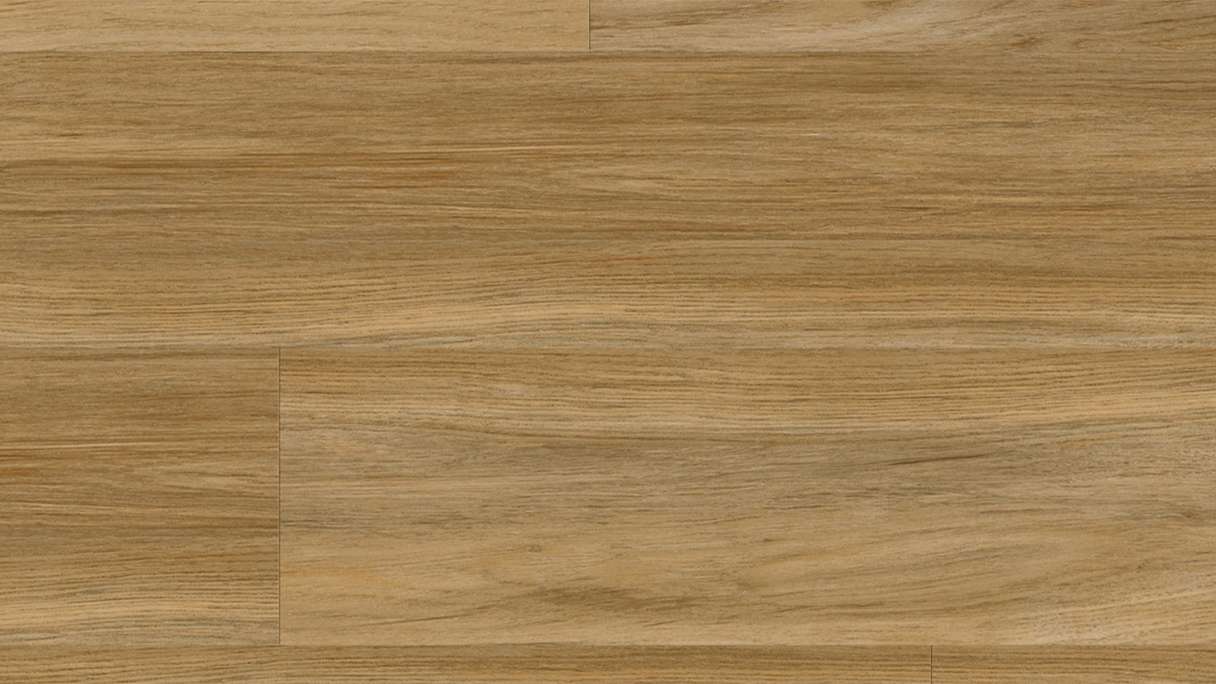 Gerflor adhesive vinyl - Virtuo 30 Glue Down Qaja honey | Authentic appearance (39161474)