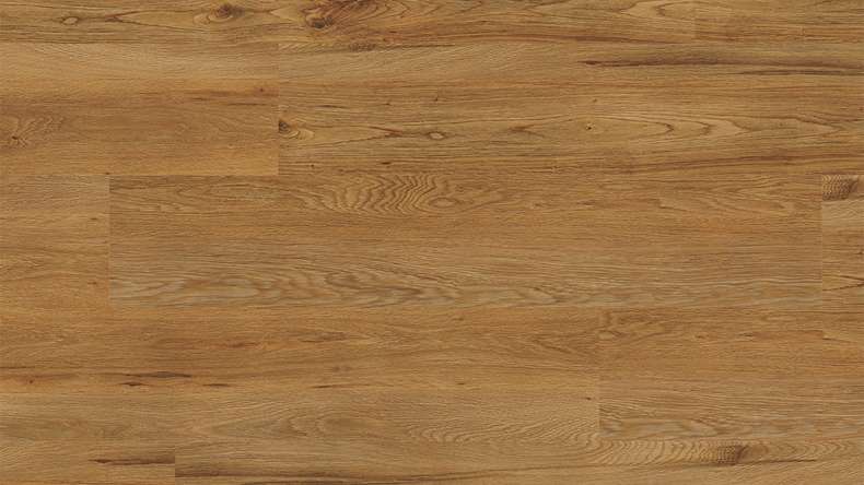 Project Floors Organic Flooring - ECO+ Collection ECO 3841/30 (ECO384130)