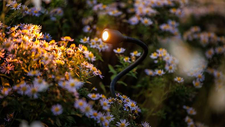 planeo garden lighting 12V - LED spotlight/wall light Xible - 2W 160 lumen
