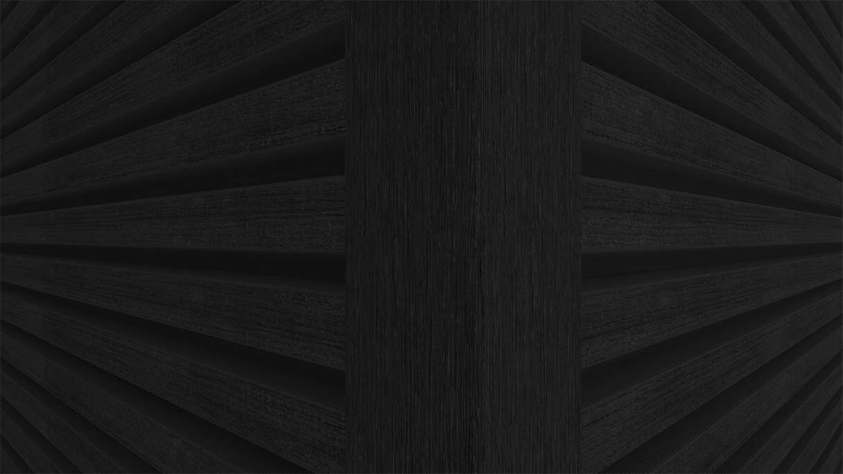 planeo LINEA Slim – WPC CoEx cladding, black, 2900 x 215 mm