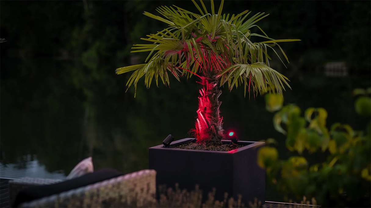 planeo Castor Smart 12V - LED Zigbee spotlight