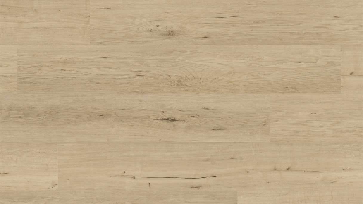 planeo Rigid click vinyl - FlexCore 55 Misty Oak | Impact sound insulation integrated (plfc-5023FS55)