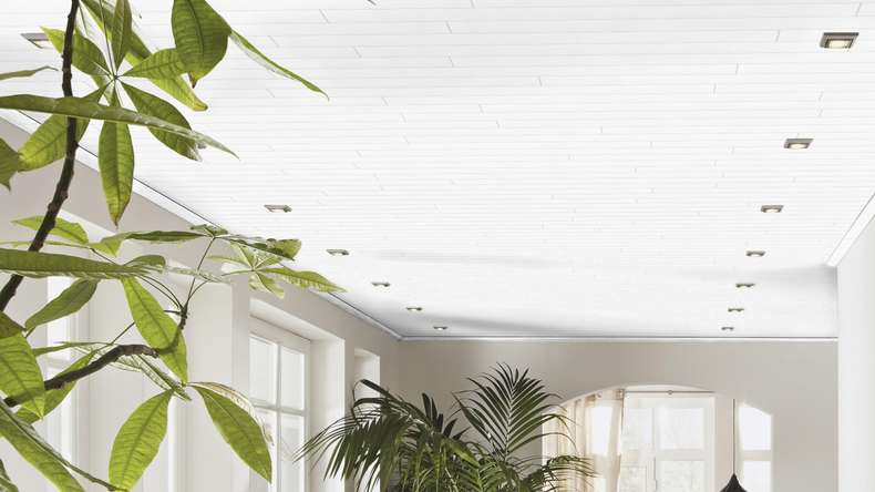 Meister Panels - Terra DP 250 Wave white 4061