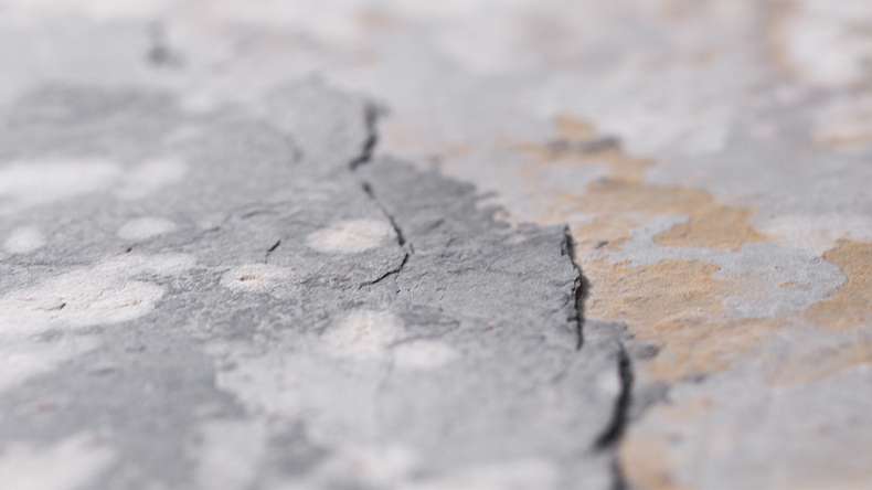 planeo EVOLITH Slate&Stone - Natural stone wall cladding Terracrust 1220 x 610 mm