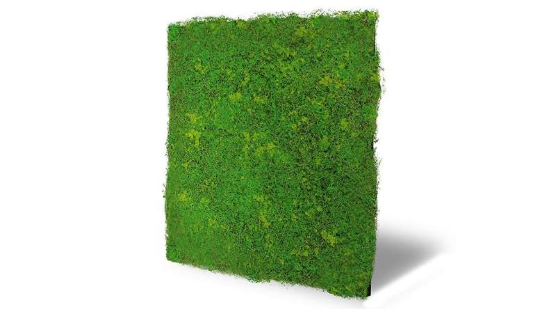 planeo acoustic panel - MixWall Moss Mood Light Green Fibre 52 x 52 cm | Art Moss (PLMW-10211C)