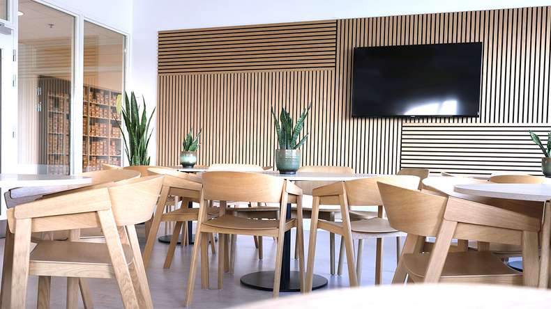 planeo acoustic panels - natural oak 2480 x 600 x 21.5 mm | fire-retardant