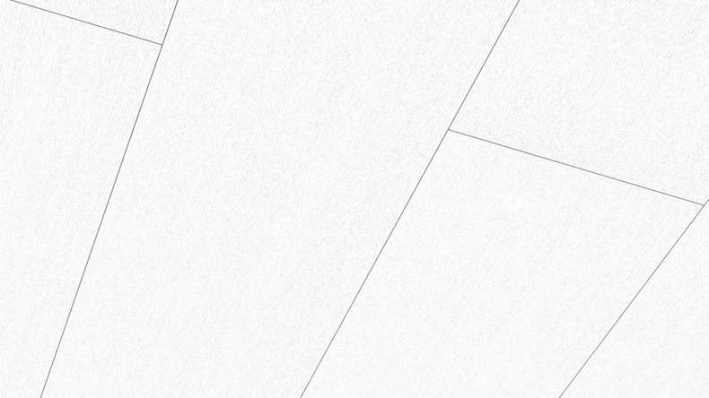 Meister Panels - Terra DP 250 Wave white 4061