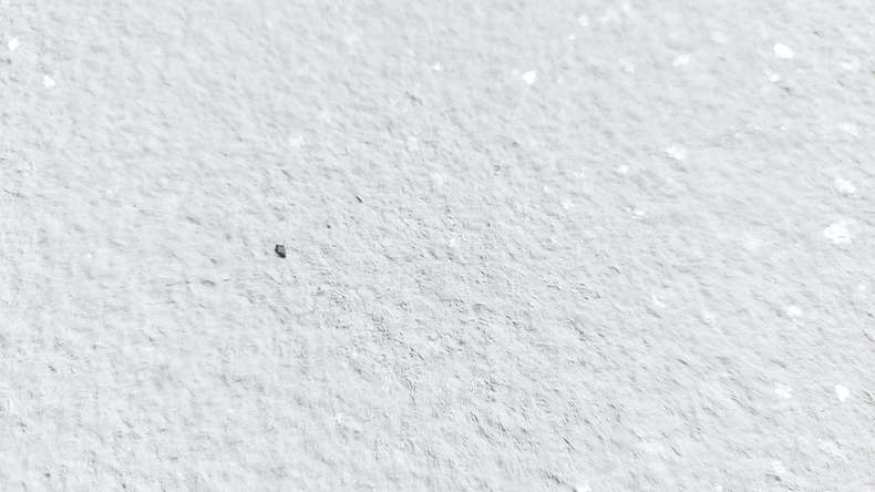 planeo EVOLITH Slate&Stone - Natural stone wall cladding Crystal White 1220 x 610 mm