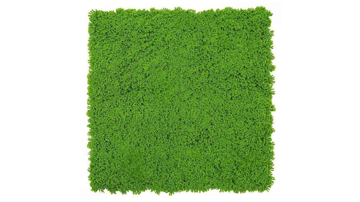 planeo acoustic panel - MixWall Moss Mood Lime Green 52 x 52 cm | artificial moss (PLMW-30211C)