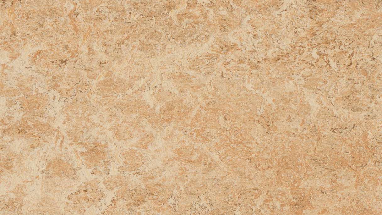 Forbo Linoleum Marmoleum Real - shell 3075 - 2mm