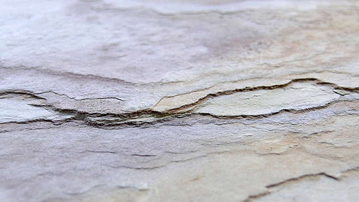 planeo EVOLITH EasyFix - Natural stone wall panelling Autumn Drift 600 x 300 mm - 6pcs.