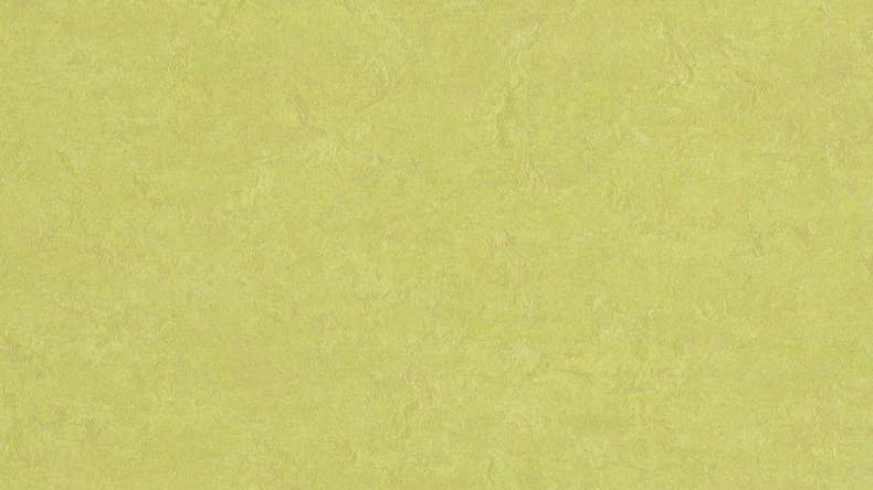 planeo click linoleum flooring Linoklick - Spring buds - 333885
