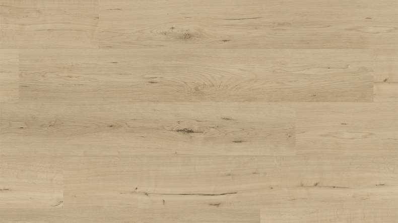 planeo Rigid click vinyl - FlexCore 55 Misty Oak | Impact sound insulation integrated (plfc-5023FS55)