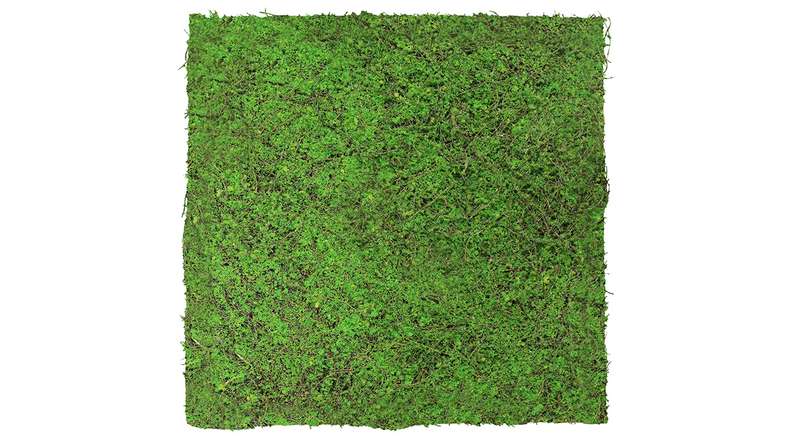 planeo acoustic panel - MixWall Living Leaf Forest Green Ancient Tree 52 x 52 cm | natural plant (PLMW-70111)