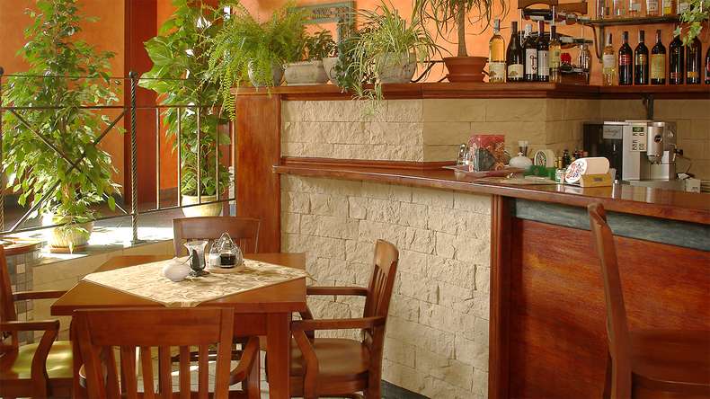planeo StoneWall Solid clinker brick slips - Fuji
