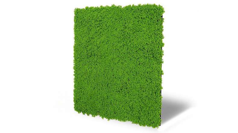 planeo acoustic panel - MixWall Moss Mood Lime Green 52 x 52 cm | artificial moss (PLMW-30211C)