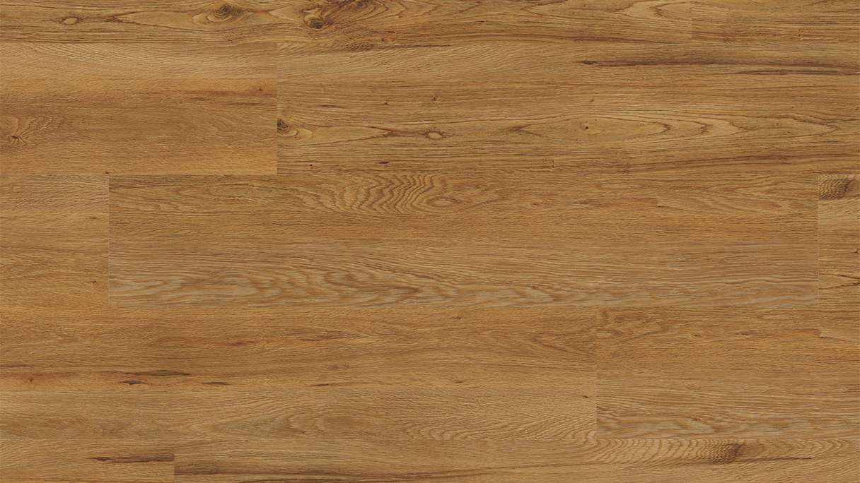 Project Floors Organic Flooring - ECO+ Collection ECO 3841/30 (ECO384130)