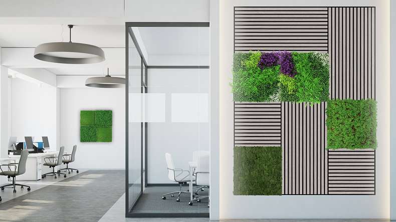 planeo acoustic panel - MixWall Living Leaf Thuja Tea Tree 52 x 52 cm | natural plant (PLMW-50111)