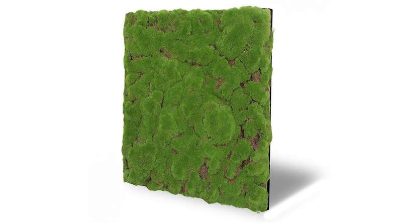 planeo acoustic panel - MixWall Moss Mood Forest Green Bulk 52 x 52 cm | Art Moss (PLMW-20211C)