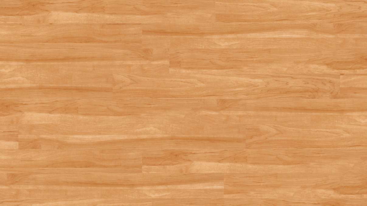 Project Floors adhesive Vinyl - floors@work55 PW 1905/55 (PW190555)