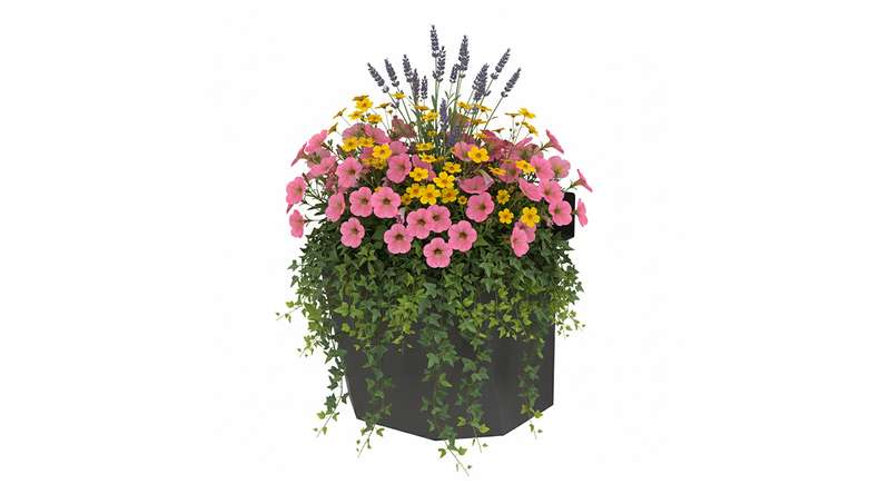 planeo Vario - flower box 3