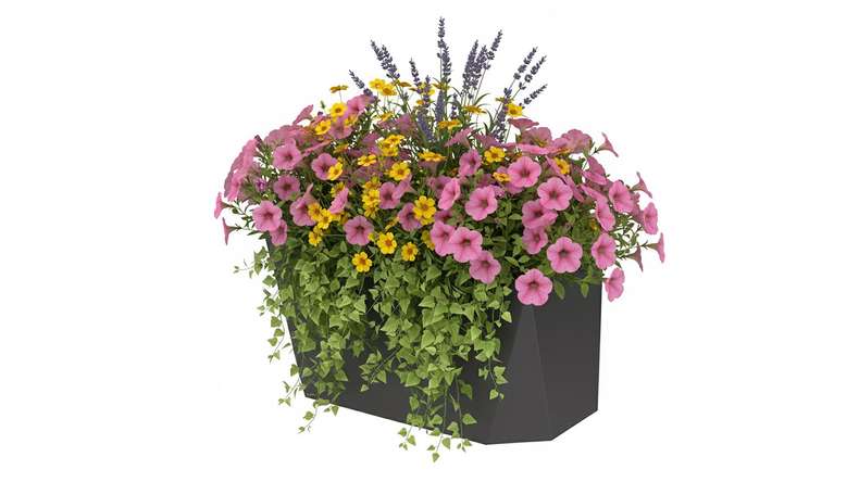 planeo Vario - flower box 2