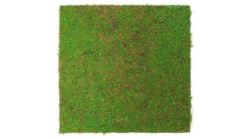 planeo acoustic panel - MixWall Living Leaf Light Green Coconut 52 x 52 cm | natural plant (PLMW-60111)