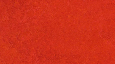 planeo click linoleum flooring Linoklick - Scarlet - 333131
