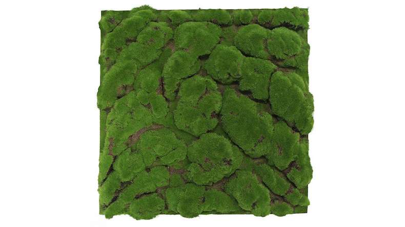 planeo acoustic panel - MixWall Moss Mood Forest Green Big Bulk 52 x 52 cm | Art Moss (PLMW-00211C)