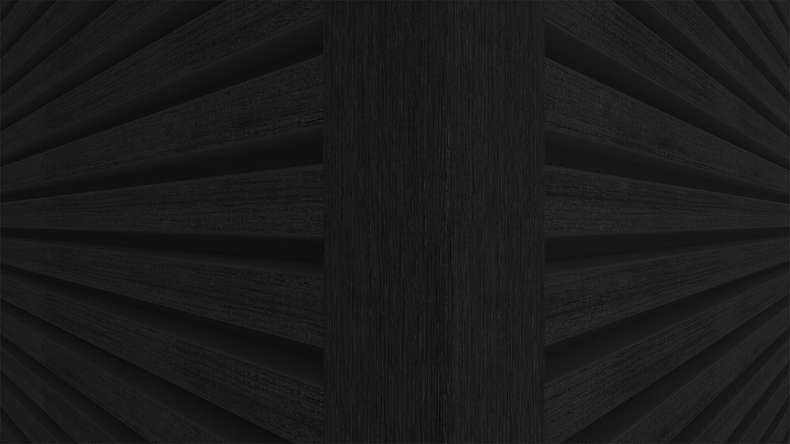 planeo LINEA Slim – WPC CoEx cladding, black, 2900 x 215 mm