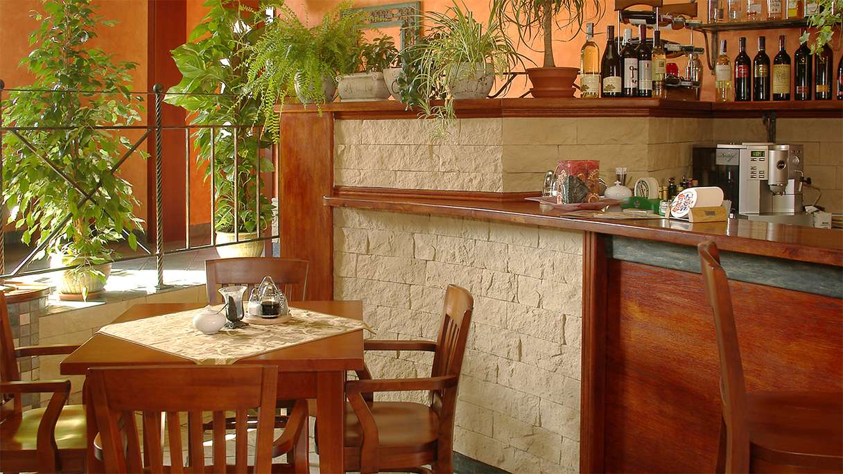 planeo StoneWall Solid clinker brick slips - Fuji