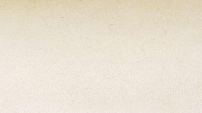 planeo EVOLITH Slate&Stone - Natural stone wall cladding White Core 1220 x 610 mm