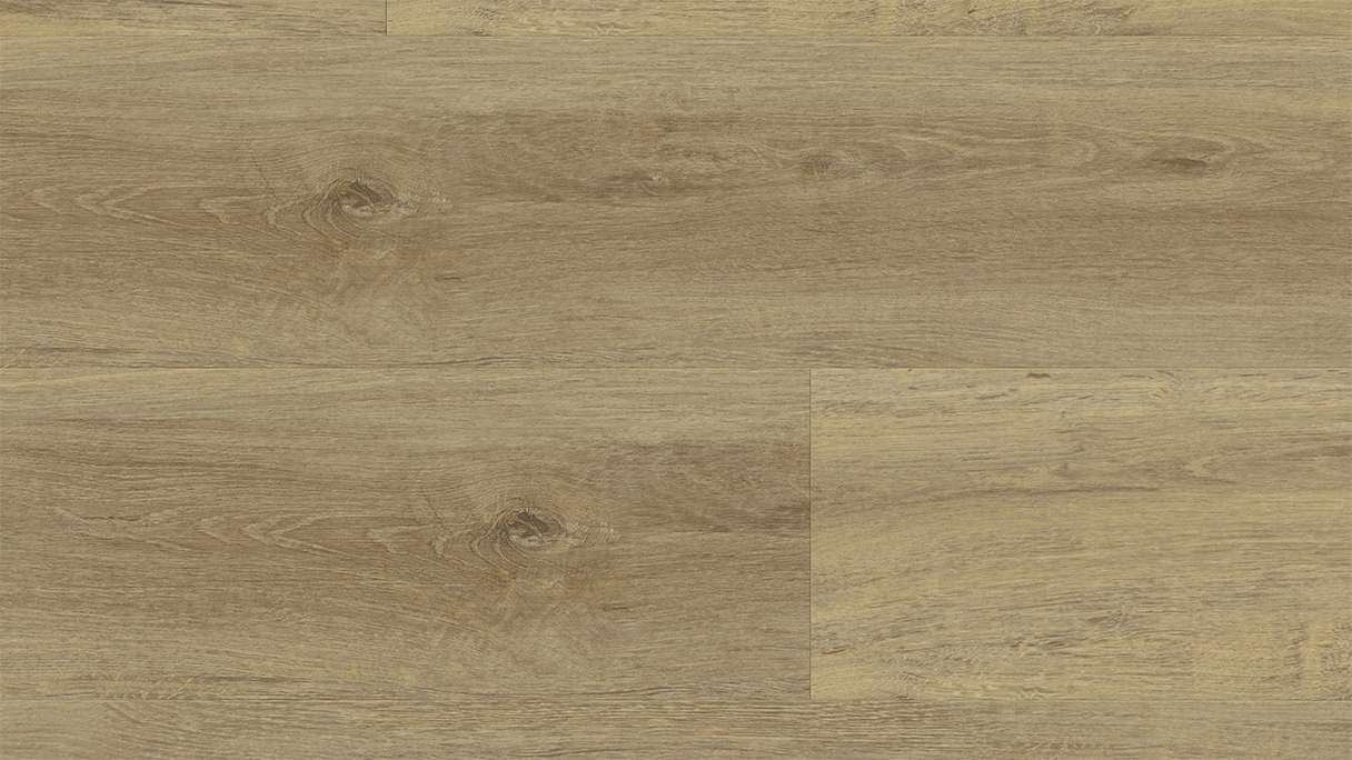 Gerflor adhesive vinyl - Virtuo 30 Glue Down Baita medium | Authentic appearance (39191025)