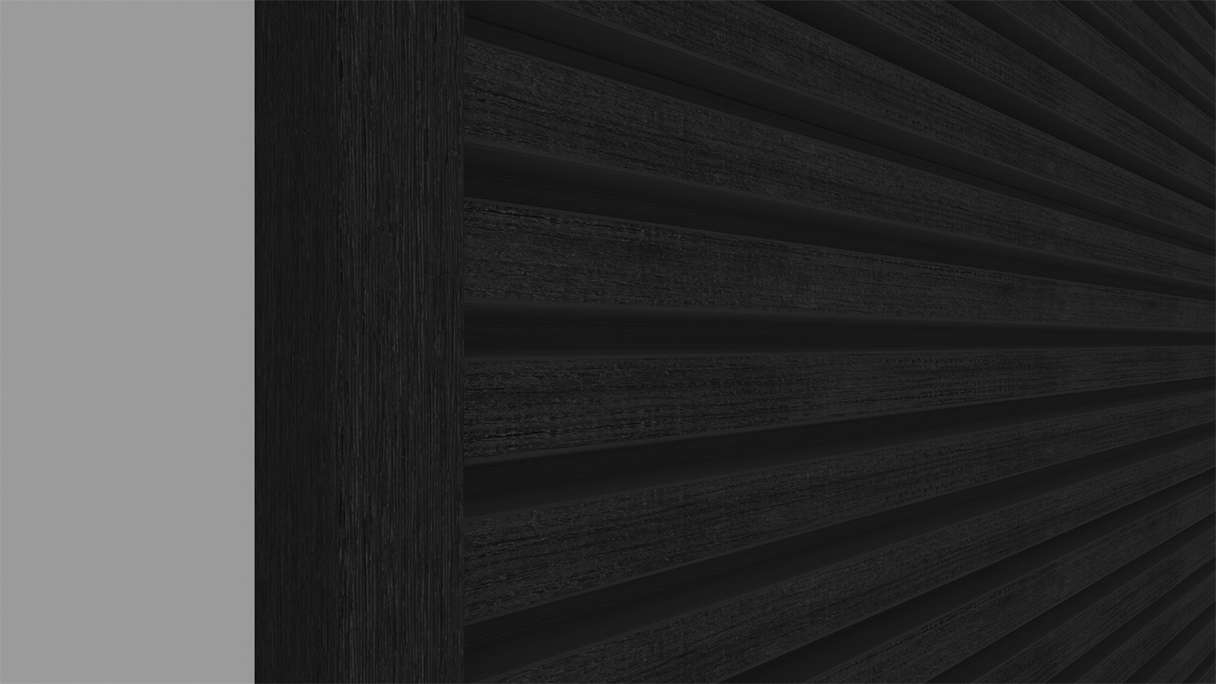 planeo LINEA Slim – WPC CoEx cladding, black, 2900 x 215 mm